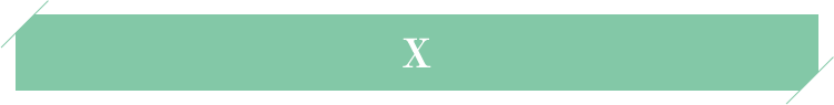公式X